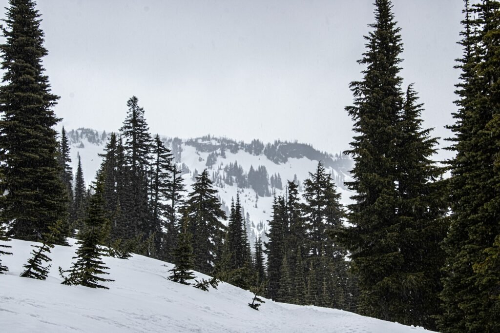 a person riding a snowboard down a snow covered slope