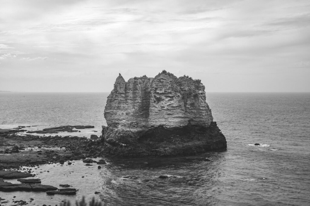 a black and white photo of a rock outcropping in the ocean