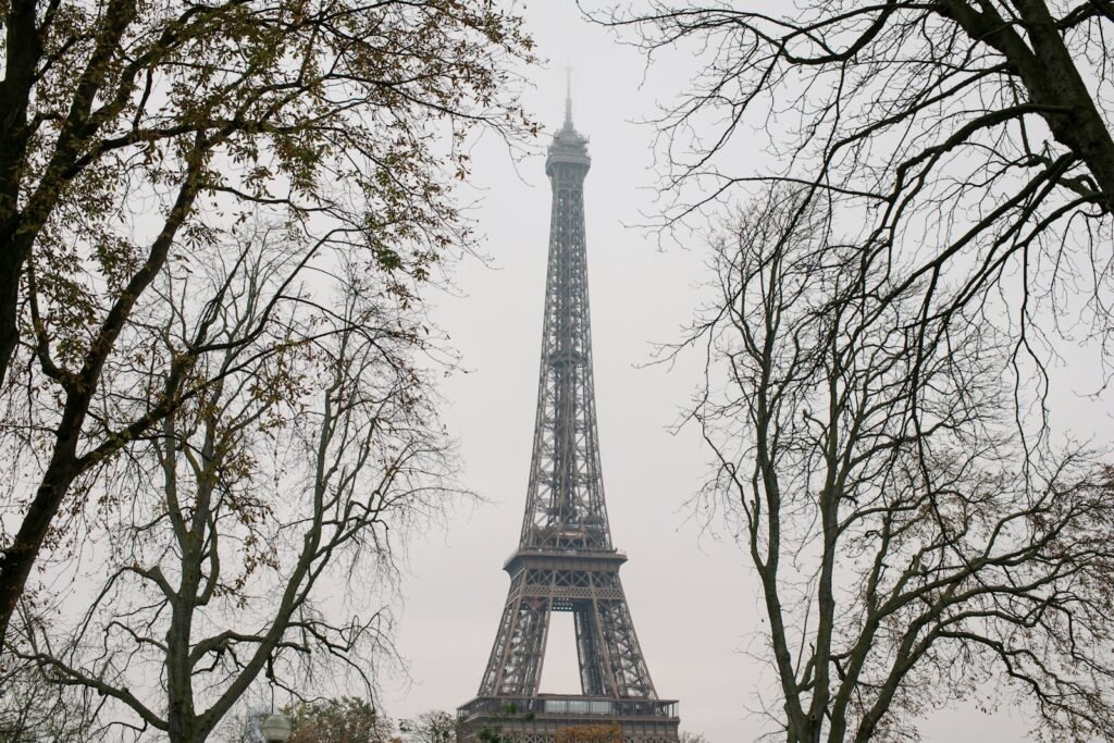 A view of the eiffel tower through the trees