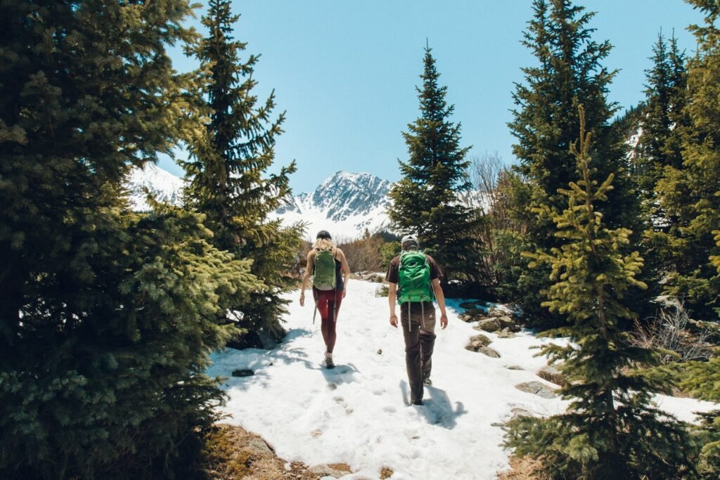 two men walking on mountain surrounded by pine trees